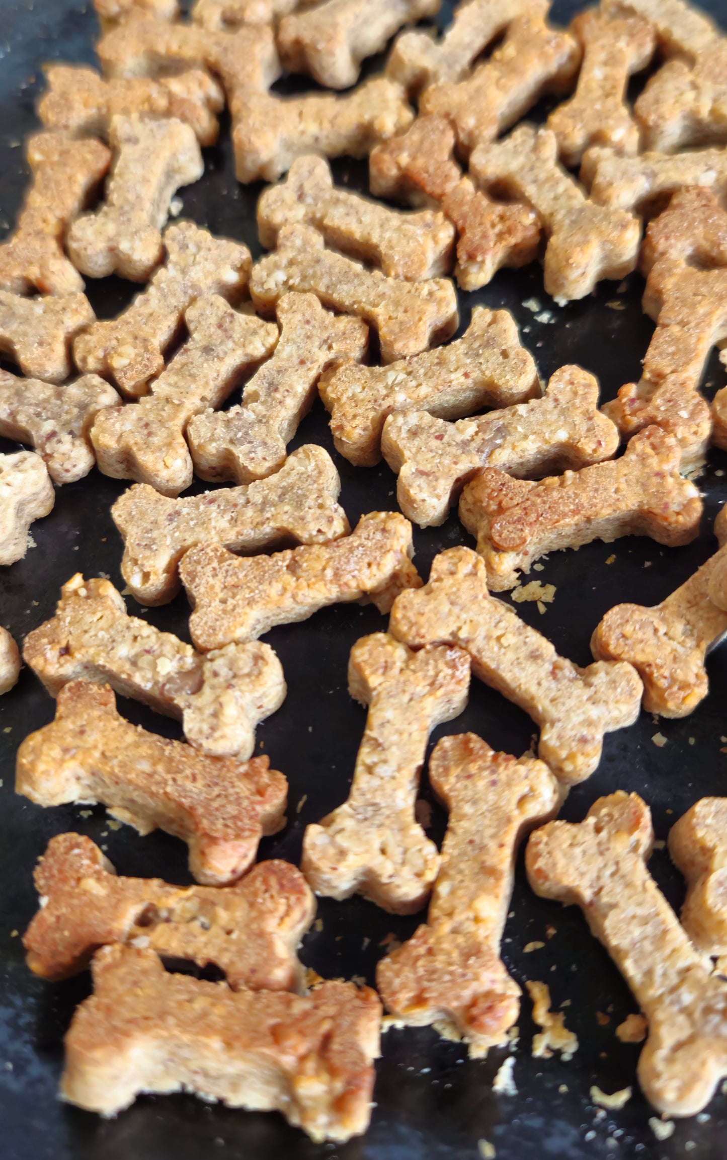 Peanut Butter Oaties